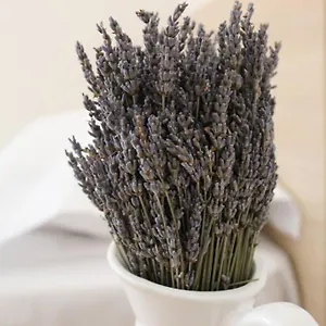 Lavandula Ring Tirana