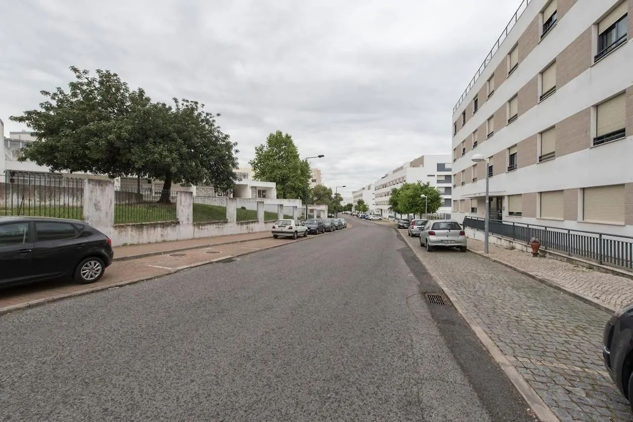 Lovely 3 Bedroom For The Perfect Stay In Lisbon Portugal